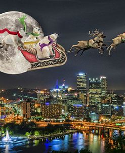 Polar bears over Pittsburgh