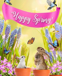 Happy Spring