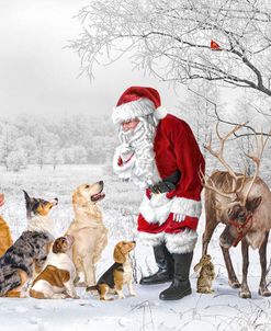 Pups Find Santa