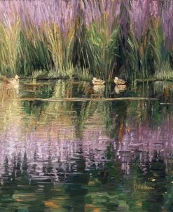 Three Ducks in a Pond