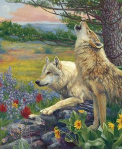 Wolves in the Spring