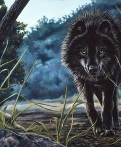 Black Wolf Hunting