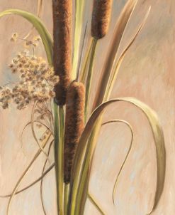 Cattails in the Breeze