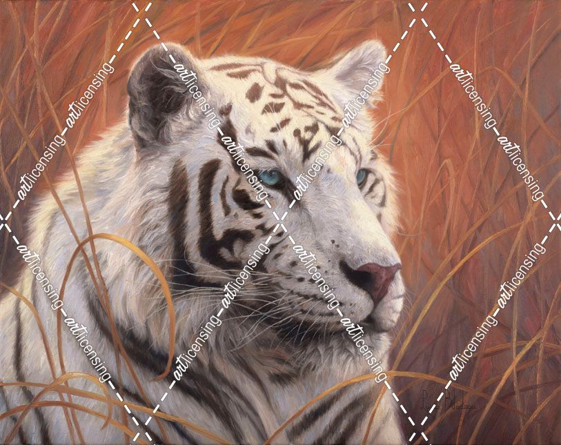 Portrait White Tiger 2