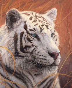 Portrait White Tiger 2