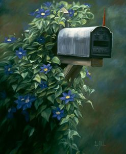 The Mail Box