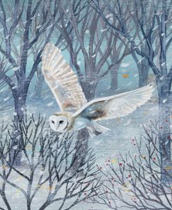 Barn Owl and Winter Trees
