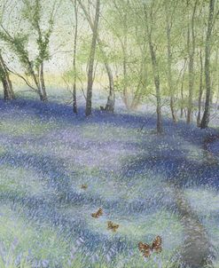 Bluebell Wood