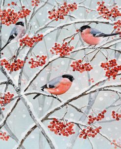 Bullfinches and Berries