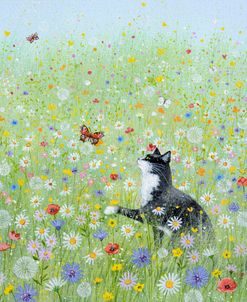 Cat in a Meadow