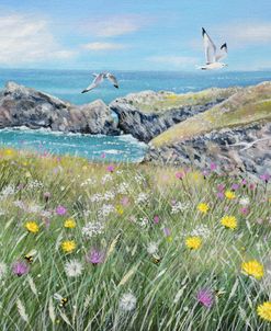 Cliff Top Wildflowers