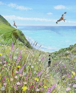 Coast Walk with Red Kites