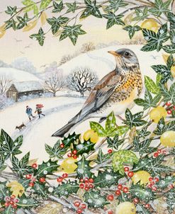 Fieldfare and Barn