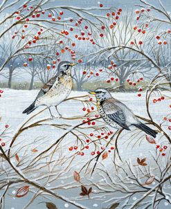 Fieldfares