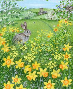 Easter Rabbit and Daffodils