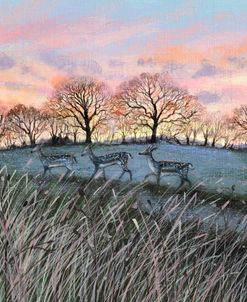 Evening Sky with Deer