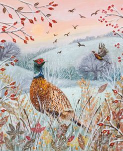 Frost and Pheasants