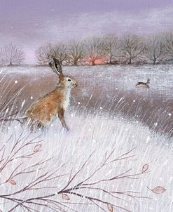Frosty Landscape and Hare