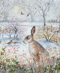 Frosty Morning and Hare