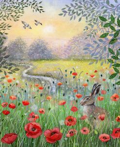 Hare and Poppies