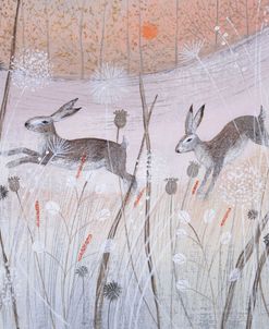 Hares and Grasses