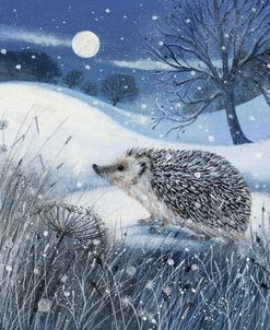 Hedgehog and Moon