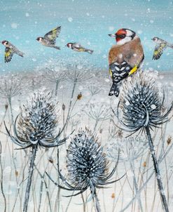 Goldfinches in the Snow