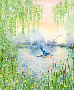 Kingfisher and Willows