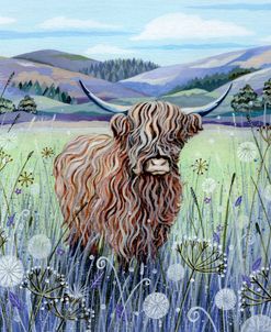 Highland Cow