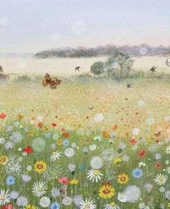 Meadow Flowers