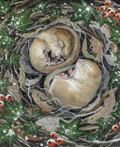 Mice Sleeping