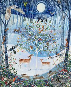 Magical Winter Woodland