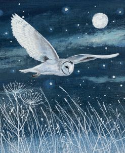 Owl Frost and Stars