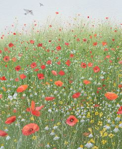 Poppy Field