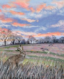 Peaceful Field