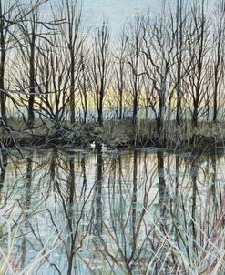 Reflections