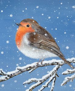 Robin and Snowflakes