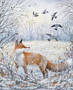 Red Fox and Pigeons