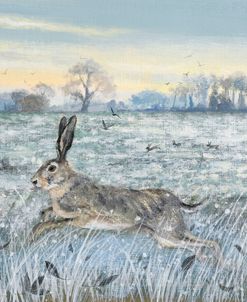 Snowy Field and Hare