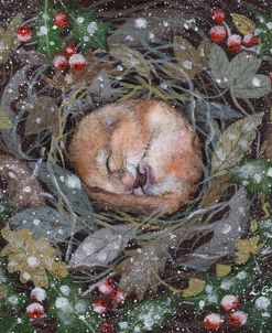 Sleepy Dormouse