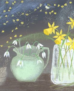 Snowdrops and Bluetits