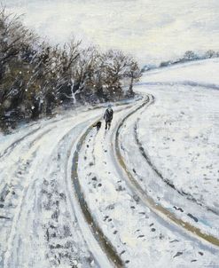 Snowy Farm Track