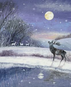 Stag and Full Moon