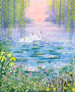 Swans