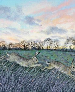 Two Winter Hares