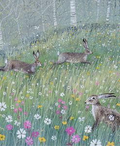Wildflowers and Hares