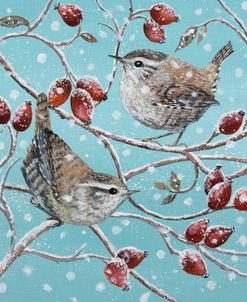 Wrens and Rosehips