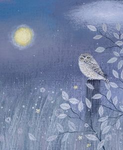 Yellow Moon and Little Owl