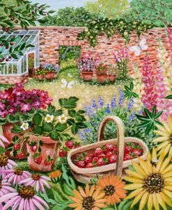 Walled Garden With Echinacea