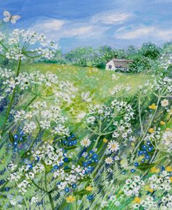 Meadow And Cow Parsley